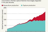 Aquaculture is the biggest change to US food production in decades