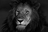 How to Be Positively Assertive