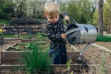 Frequently Asked Questions About Your New Vegetable Garden
