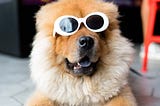 Beyond Looking Cool