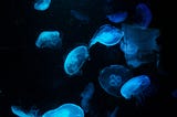 How to Do Deep Clone of Objects in JavaScript