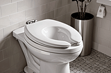 Bemis-Toilet-Seat-1