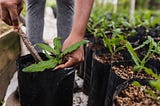 Biofriendly Hosts a Day of Service Planting Trees at Energy Summit