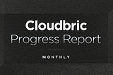 Cloudbric Services Progress Report (3/1 ~ 3/31)