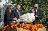 President Biden pardoning two turkeys as per annual tradition