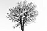 Intrinsics of Individuation Process