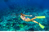 Snorkeling: An Experience of a Lifetime