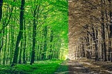 A few Critical Climate Technology Breakthroughs Multiplied by “Instigators” is desperately needed