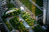 Green Roofs: Our Unlikely Weapon Against Climate Change