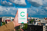 Backing employees’ wellbeing; why we invested in Cobee.