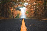 a no-ending pavement street with beautiful maple trees on two sides