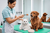 Pet-Brushes-1