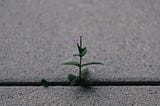 How to Make a Breakthrough: Why You’re Only One Mental Shift Away from a Breakthrough & How to Make…