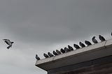 Pigeons sitting on a roof.