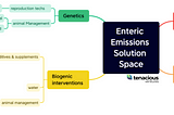 Tackling enteric emissions part 2: mapping the solution space