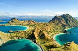 Discover the Wild Attractions of Komodo National Park