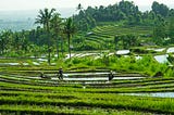 A Cure to Global Vitamin A Deficiency?
