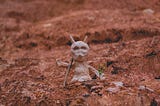A small figure made of clay, to represent the concept of moulding your life to look how you want it to be