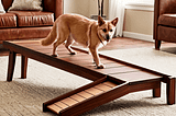 Pet-Ramp-1