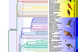 Rewriting the evolutionary timeline of chili peppers with the recent discovery of 50 million years…