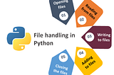 Python101 — Python File I/O: A Comprehensive Guide