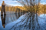 An image of a water reflection, there is a tree and fence, partially under water.