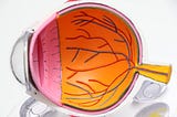 Organic Electronics: A New Frontier in Mimicking Retinal Neurons
