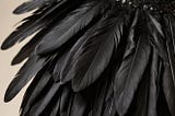 Black-Feather-Dress-1