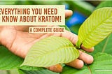 🍃 EVERYTHING YOU NEED TO KNOW ABOUT KRATOM! 🍃