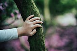 I Put My Head Against a Tree and the Anxiety Left My Body