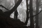 Fear’s Echoes into the Unknown