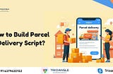 How to Build Parcel Delivery Script?