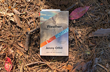 A photo of Weather by Jenny Offill resting on a bed of pine straw.