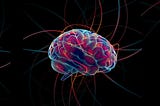 3 activos para tu cerebro