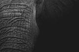 Building an Elephants Memory: Never forgetting another “todo” again