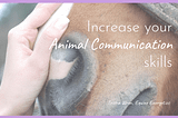 Increase Your Animal Communication Skills | Trisha Wren