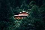 Picture of a house in the jungle, surrounded by lush green vegetation