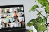 A picture of a laptop with what looks like a Zoom meeting — many boxes of people on the screen — in the background with a houseplant in the foreground
