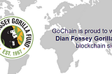 The GoChain Newsletter