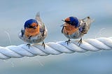 How to Handle People Being Mean to You: Navigating Hurtful Behavior with Compassion and…