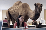 All The #WednesdayWisdom GIFs You Need To Live Through This Week!