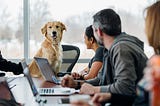 Chasing your tail is a form of toil. This doggo would not make a good DevOps Engineer