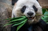 Five Simple Pandas Tricks