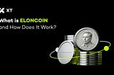 What Is ELONCOIN: How Elon Musk’s Friend’s Tweet Sparked a Solana Meme Coin Craze