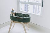 A bassinet with a ripped cloth and bear perched atop, in a bare white room near a curtainless window. Trudi Bishop.