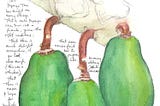 (Lessons from) a Volunteer Papaya Tree