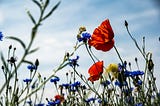 Biodiversity in National Parks