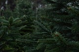 Django Primer: Middleware framework