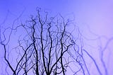 Dreamscapes: Unleashing the Boundless Imagination