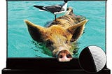 vivid-storm-since-2004-120-inch-s-pro-motorized-floor-rising-screen-crystal-clear-image-quality-with-1